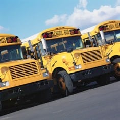 School Buses